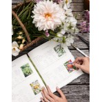 Heirloom Gardening Journal | Hydrangea Heirloom Gardening Journal | Hydrangea